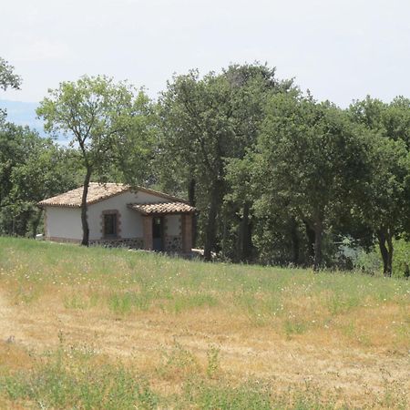 Holiday Home Il Podere Del Lago By Interhome Bolsena Dış mekan fotoğraf