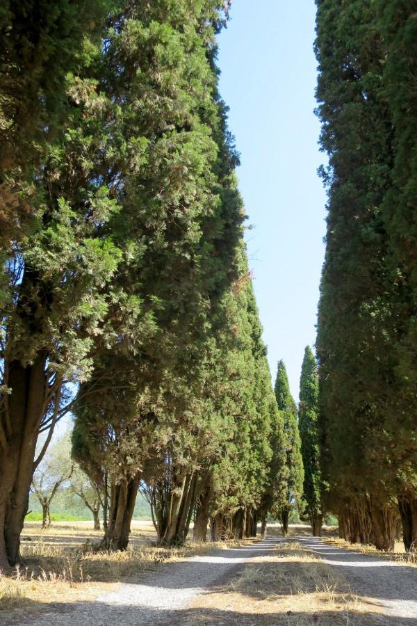 Holiday Home Il Podere Del Lago By Interhome Bolsena Dış mekan fotoğraf
